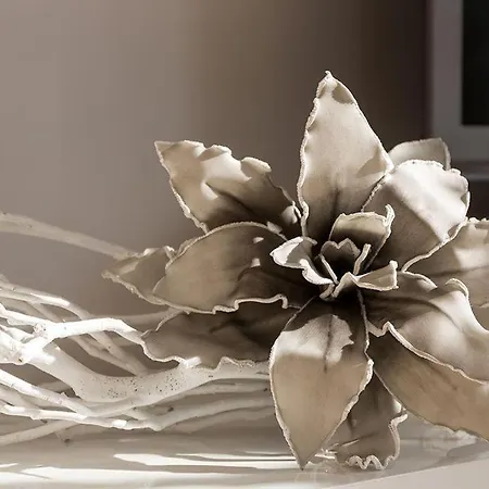 Kuestentraum * Zingst